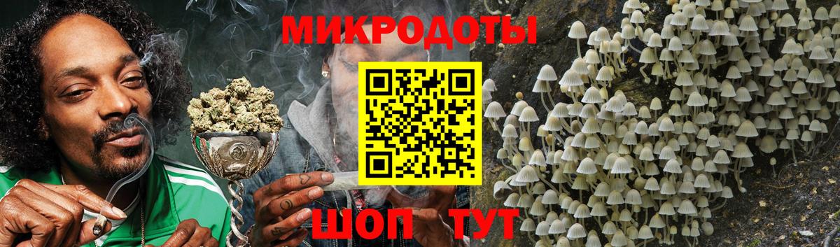 Галлюциногенные грибы Psilocybe Кисловодск