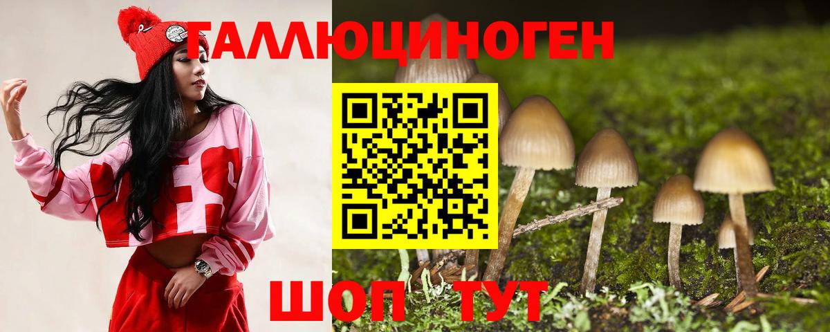 Галлюциногенные грибы ЛСД  Псилоцибиновые грибы прущие грибы  Кисловодск  Вход с VPN 