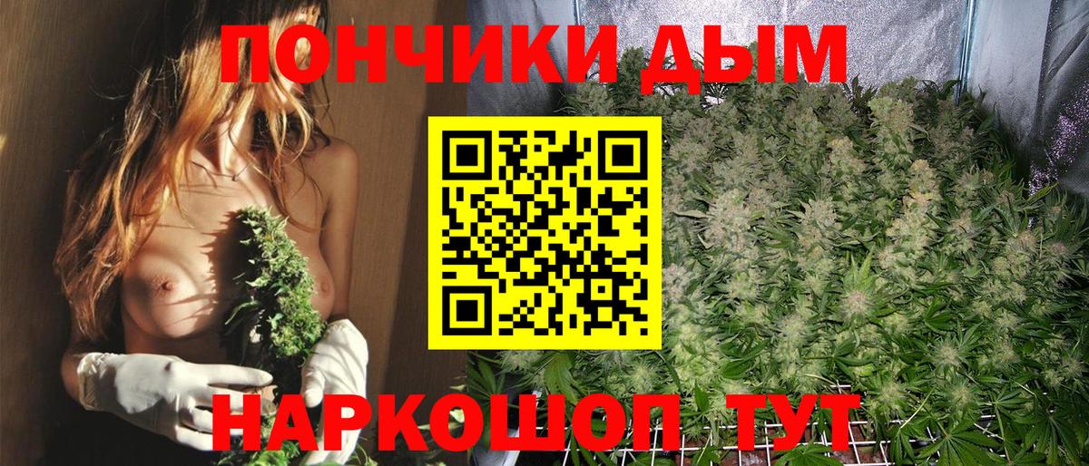 Бошки Шишки сатива Кисловодск